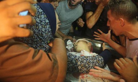 ?شهادت ۱۶ کودک فلسطینی از آغاز سال جاری