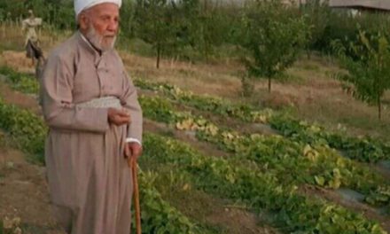 ماموستا ملا محمد امامی از علمای بزرگ کردستان دار فانی را وداع گفت