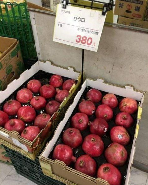 هر عدد انار در ژاپن ۳۸۰‌ ین قیمت داره