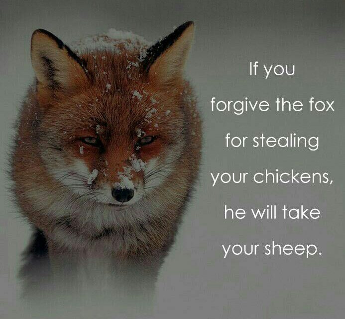 اگر بخاطر سرقت جوجه هایت به روباه رحم کردی