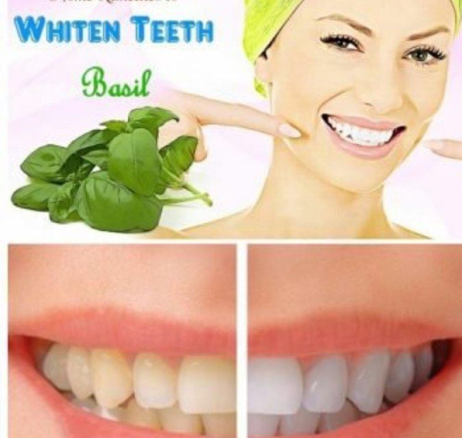 با ریحان دندانهایتان را سفید کنید