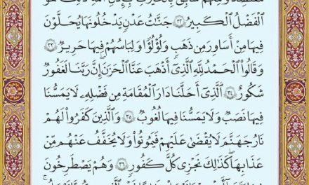 متن عربی صفحه ۴۳۸ سوره مبارکه فاطر