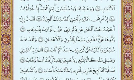متن عربی صفحه ۴۵۵ سوره مبارکه ص