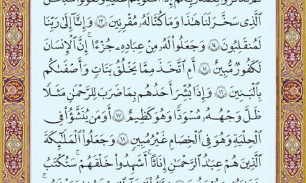 متن عربی صفحه ۴۹۰ سوره مبارک