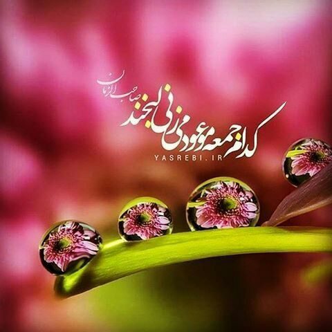 سلام امام زمانم 

 جمال روش