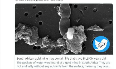 آب کشف شده در معدن طلایی در اف