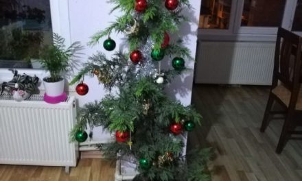 تزیین درخت کریسمس   نرگس عزیز