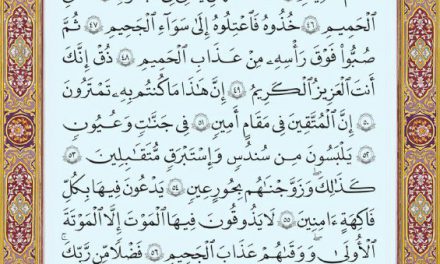 متن عربی صفحه ۴۹۸ سوره مبارک
