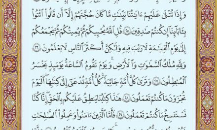 متن عربی صفحه ۵۰۱ سوره مبارک