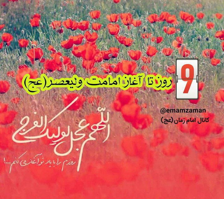 ۹⃣روز تا آغاز امامت حضرت ولی