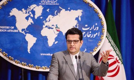 موسوی رفتار مرزبانی آمریکا با ایرانیان، نژادپرستی مطلق و نقض حقوق بشر است