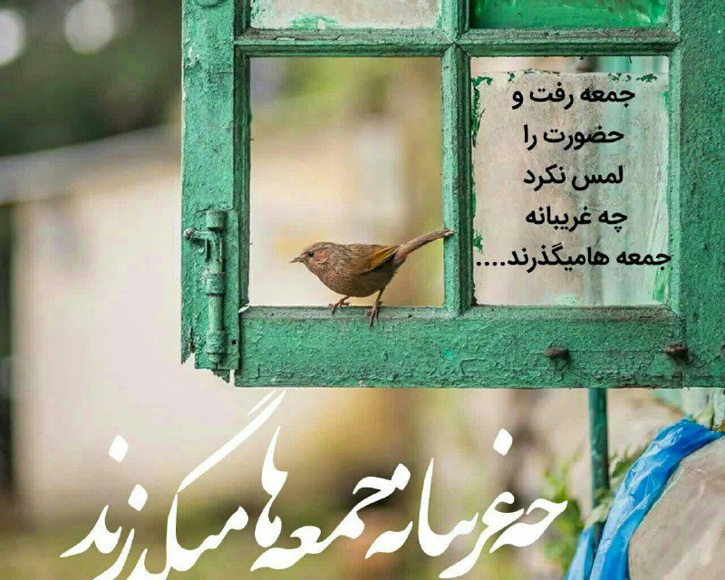 بےسبب نیسٺ اگرفاصلہ ها ڪم نشدند